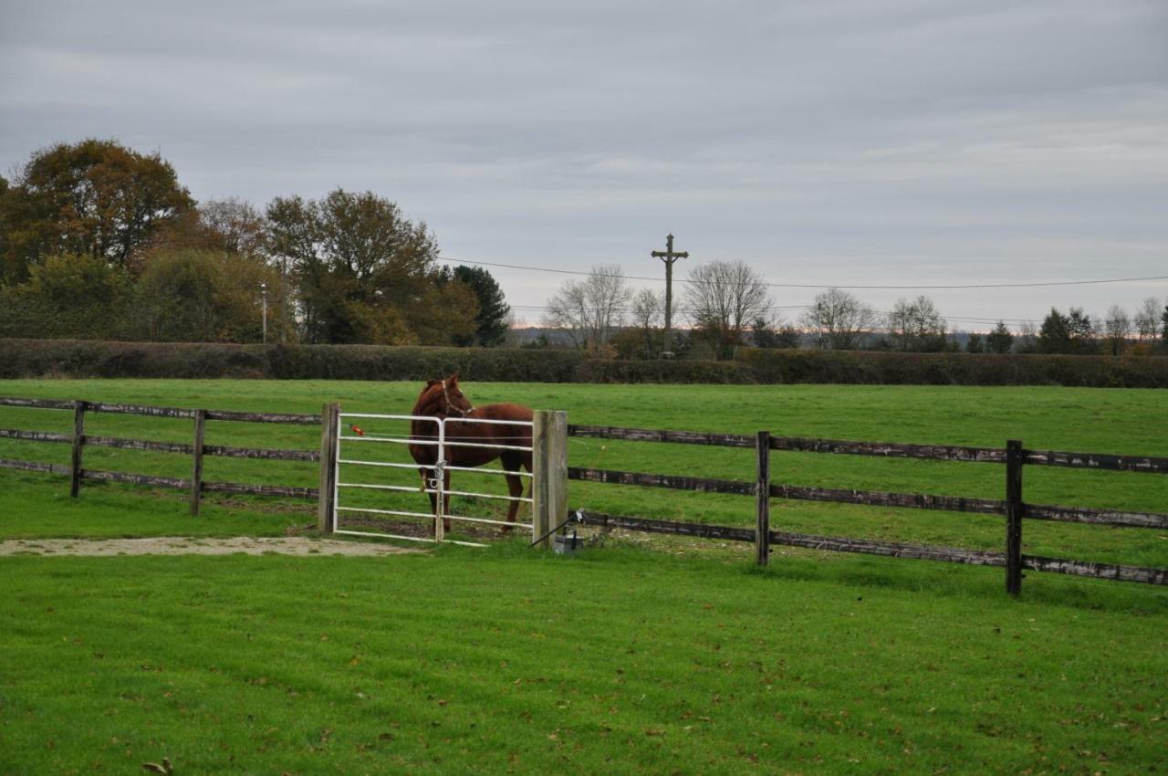 B&B Haras De La Cour Fleury Saint-Michel-de-Livet Exterior photo
