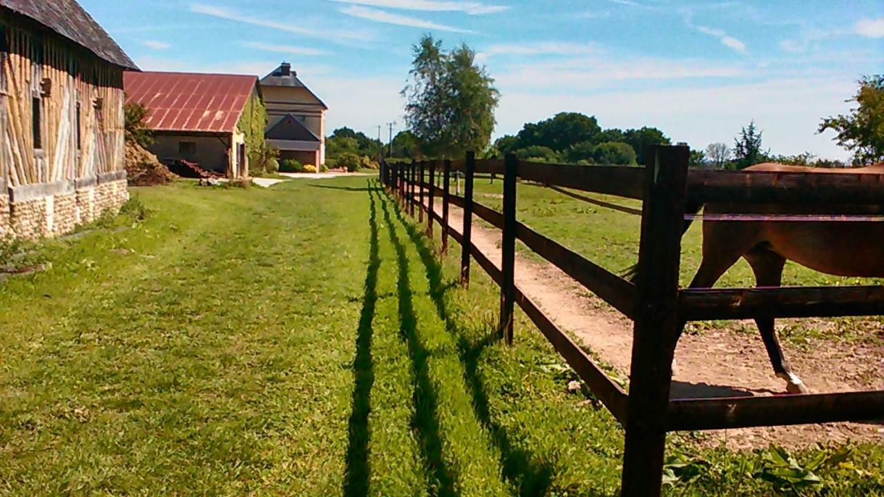B&B Haras De La Cour Fleury Saint-Michel-de-Livet Exterior photo